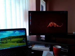 Windows vs Ubuntu
