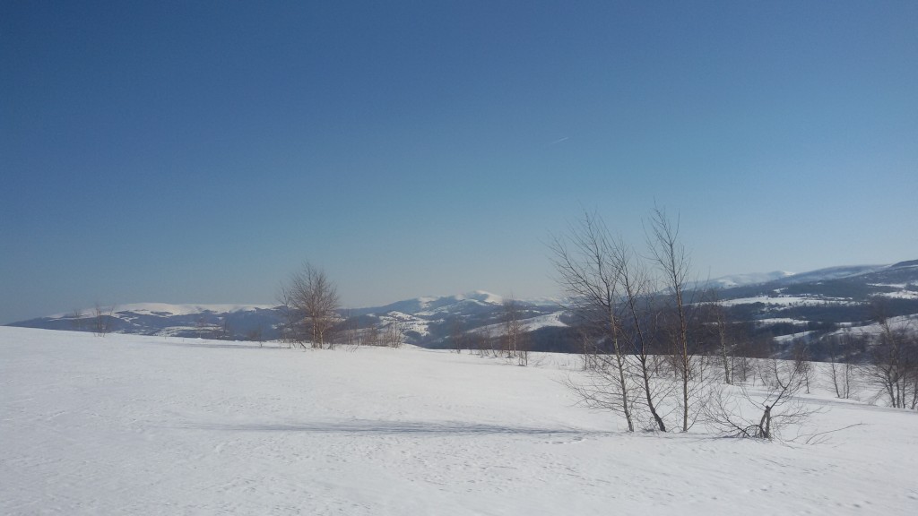 Vlasina_planina